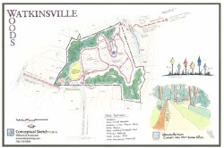 Watkinsville Woods Concept Plan